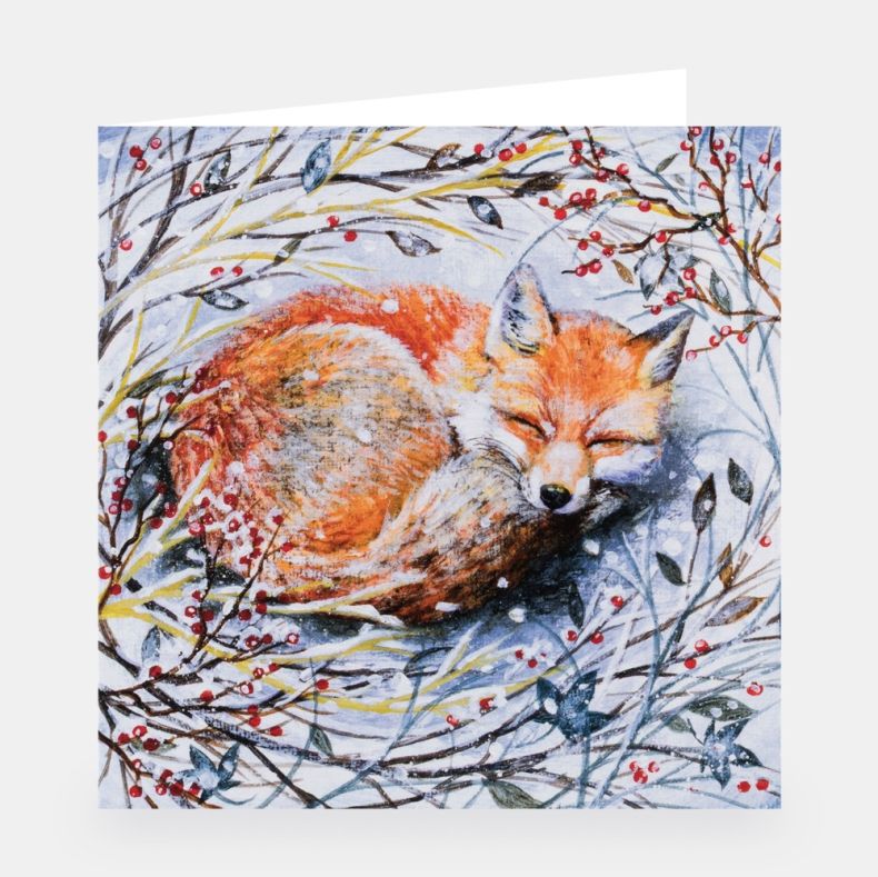 National Trust Illustrated Christmas Cards Value Pack of 30