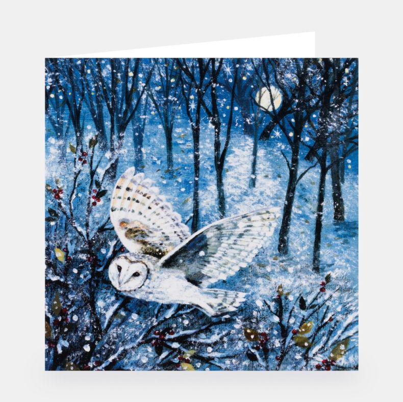 National Trust Illustrated Christmas Cards Value Pack of 30