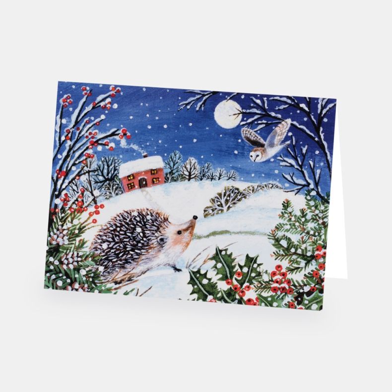 National Trust Illustrated Christmas Cards Value Pack of 30