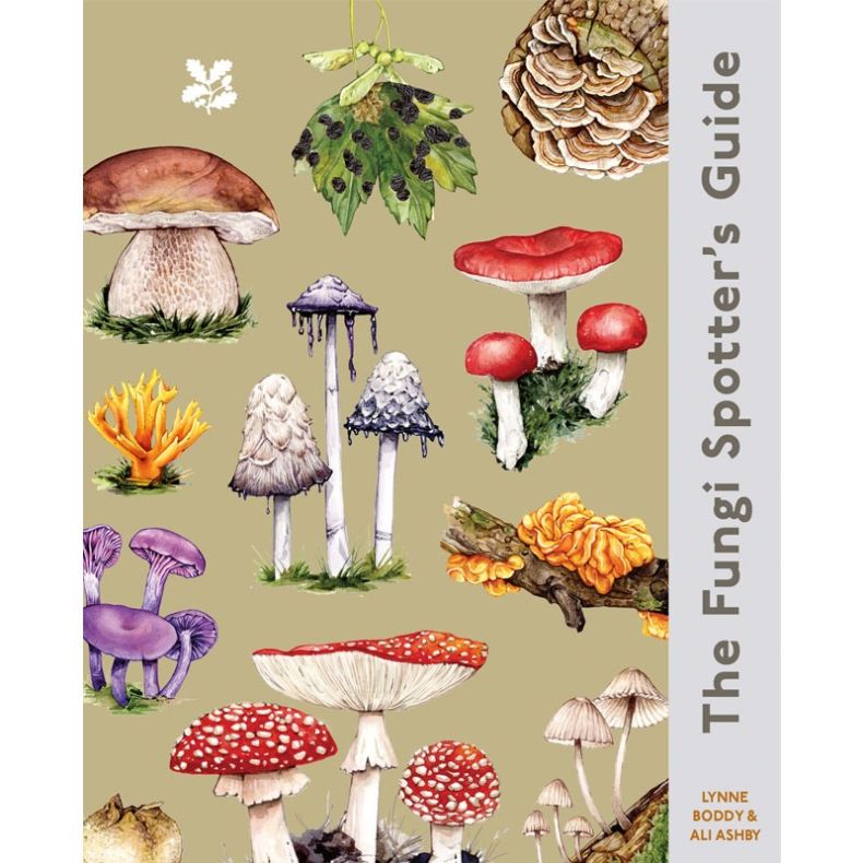Illustrated book cover featuring a variety of colourful fungi and mushrooms, including fly agaric, chanterelles and bracket fungi, arranged on a beige background. Vertical title reads “The Fungi Spotter’s Guide” by Lynne Boddy and Ali Ashby.