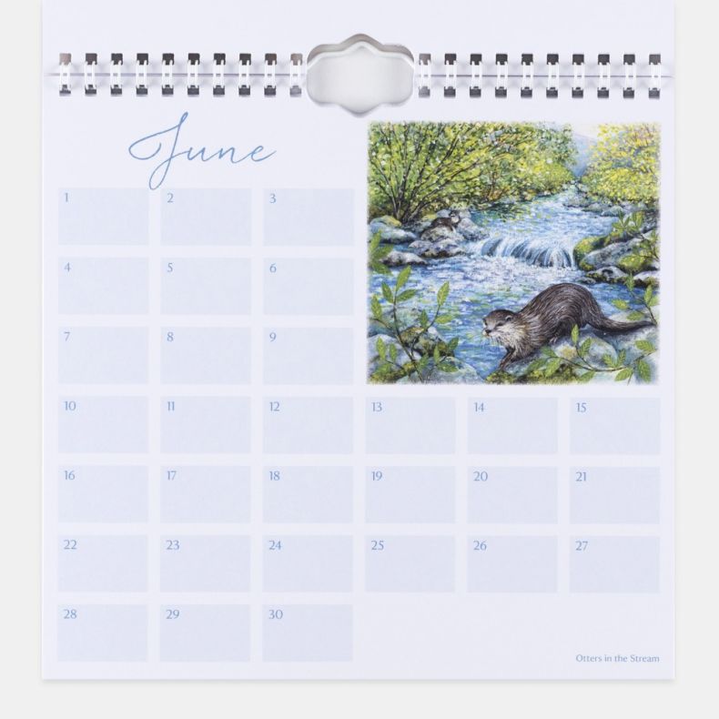 June page from a Birthdays & Special Occasions perpetual calendar, featuring a grid layout with blank date boxes for recording annual events and an illustration of an otter beside a flowing woodland stream surrounded by rocks, green foliage and trees, dis