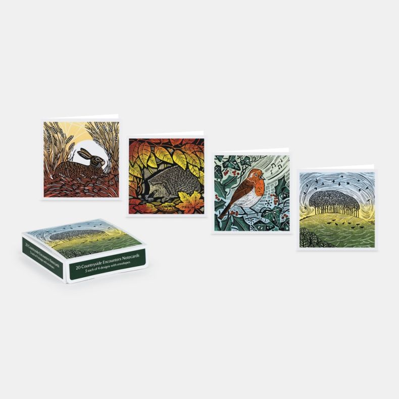 Collection of 20 Countryside Encounters notecards with envelopes, displayed alongside four nature-inspired card designs featuring a hare among wheat stems, a hedgehog beneath autumn leaves, a robin perched among berries and foliage, and a stylised country