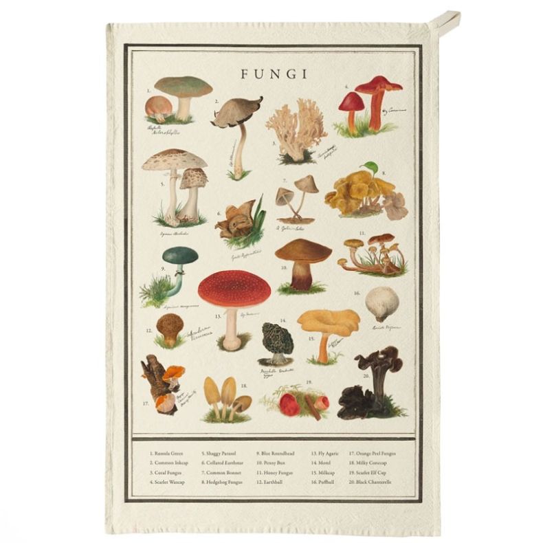 Organic cotton tea towel featuring a vintage-style fungi chart with detailed mushroom illustrations in natural earthy tones. The cream-coloured tea towel includes a hanging loop and labelled botanical artwork, showcasing a variety of mushroom species agai