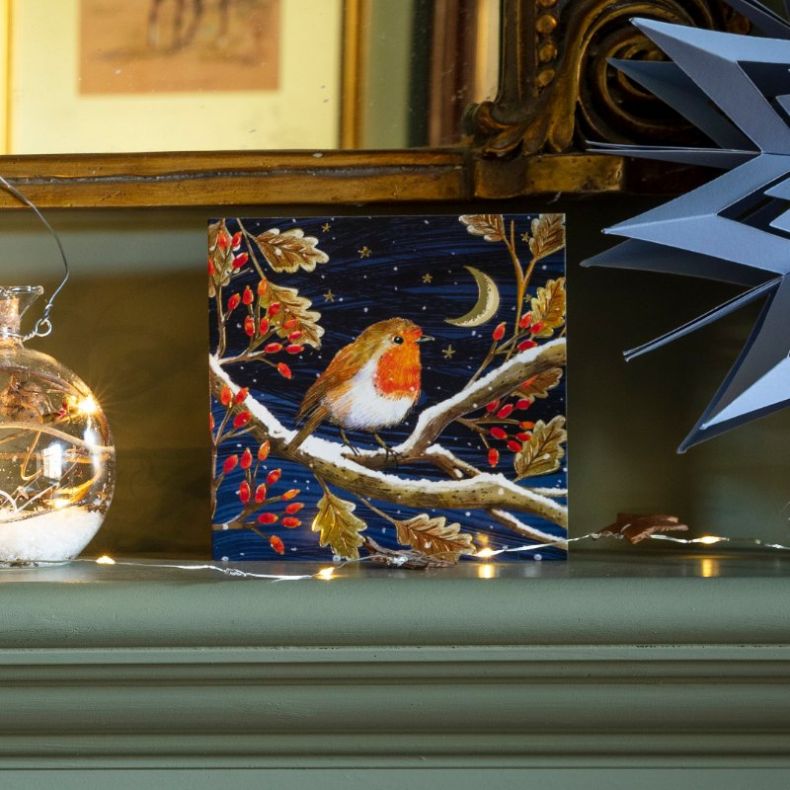 National Trust Moonlit Robin Christmas Cards Box of 10