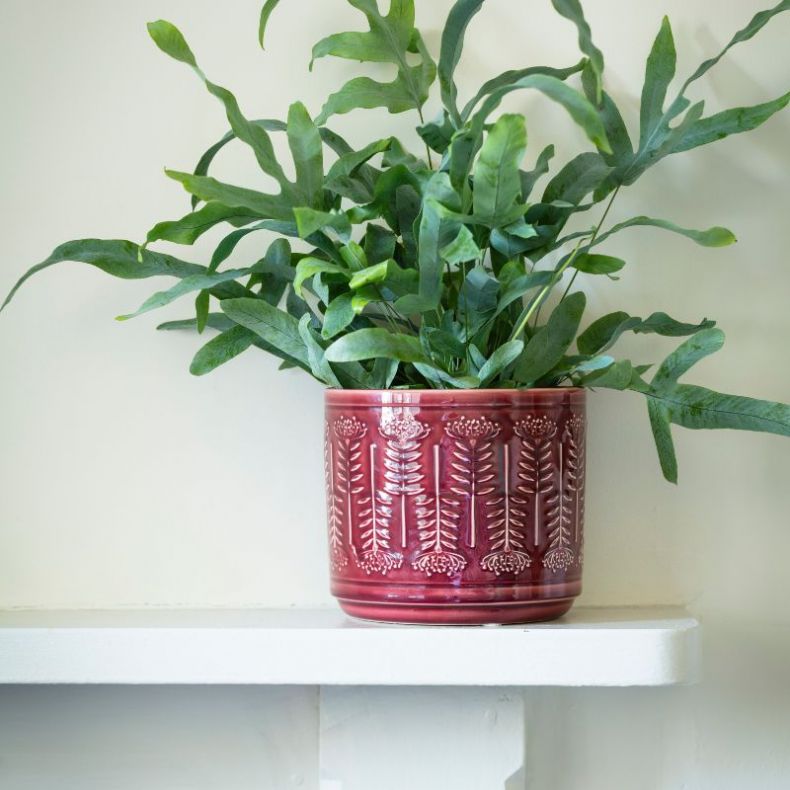 Protea Planter 17cm, Burgundy