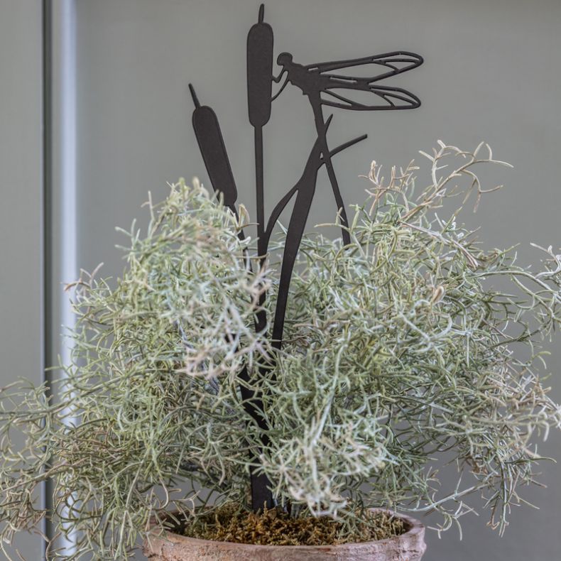 Pot Stem, Dragonfly on Rushes