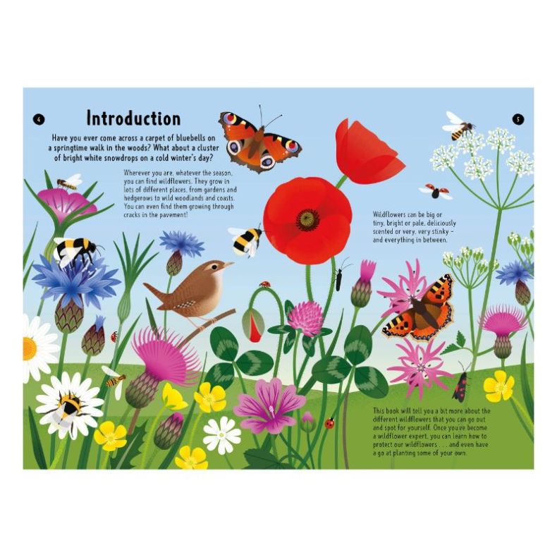 National Trust Out and About: Wildflower Spotter