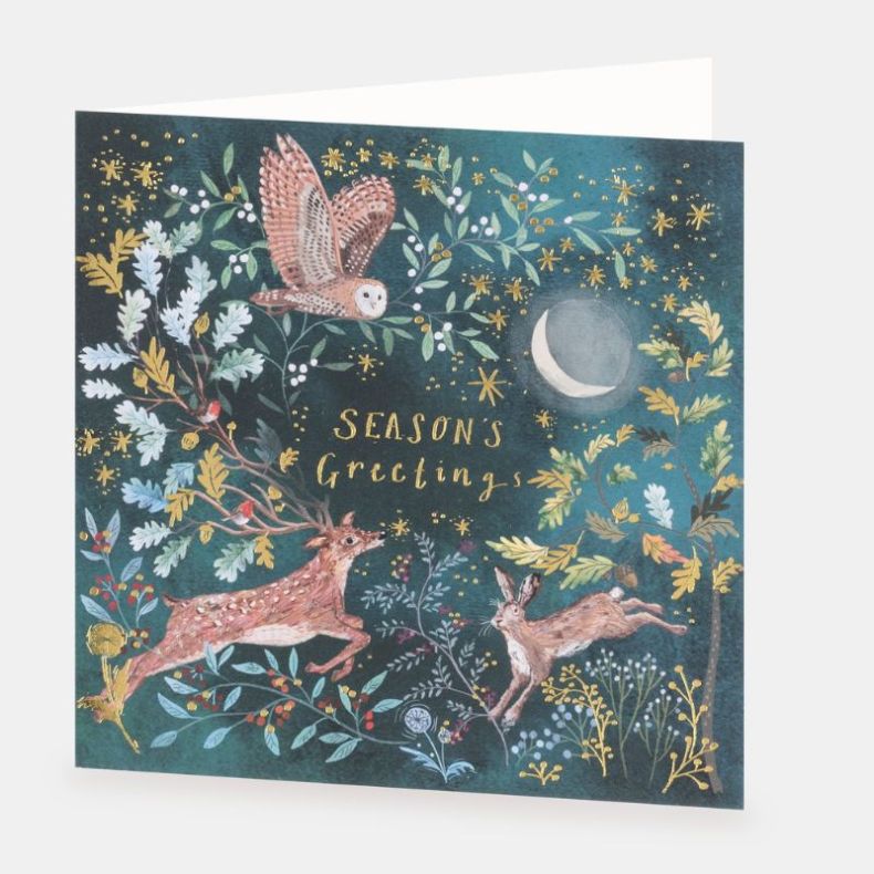 National Trust Forest Friends Christmas Cards Box of 10