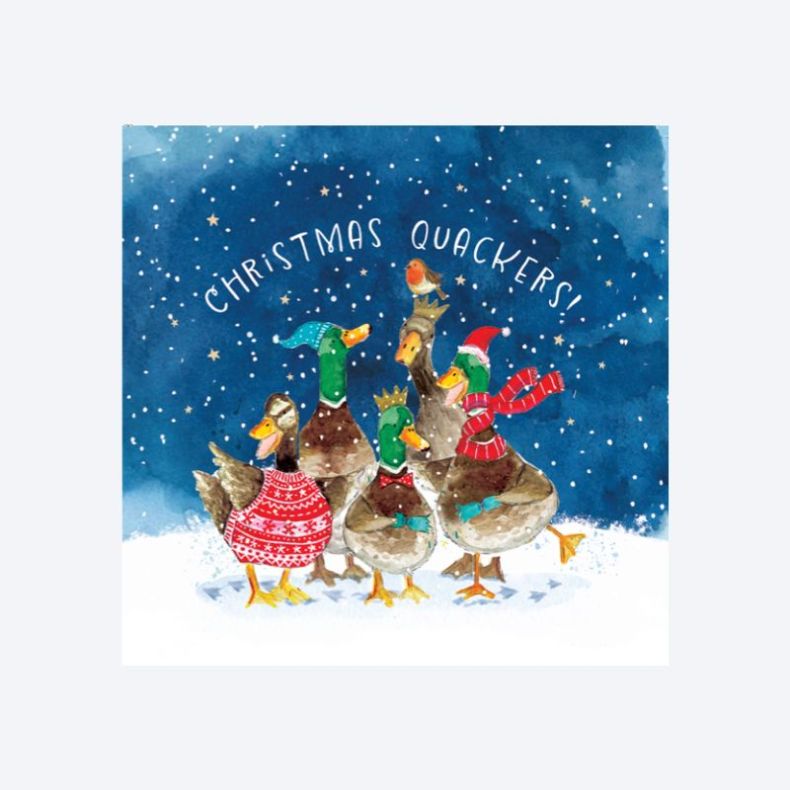 National Trust Christmas Quackers Christmas Cards Box of 10