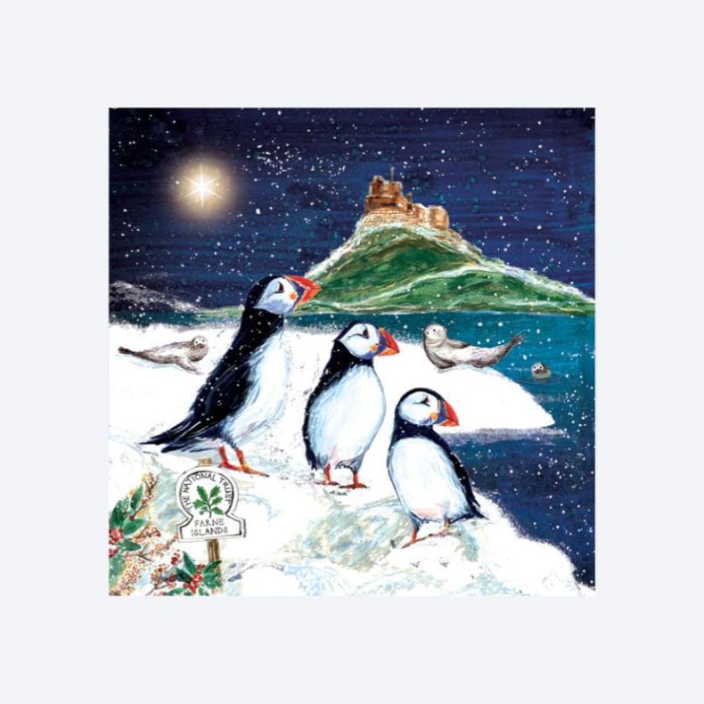 National Trust Puffins on the Farne Islands Christmas Cards Box of 10