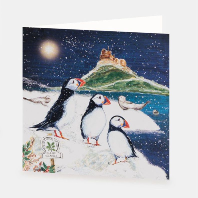 National Trust Puffins on the Farne Islands Christmas Cards Box of 10