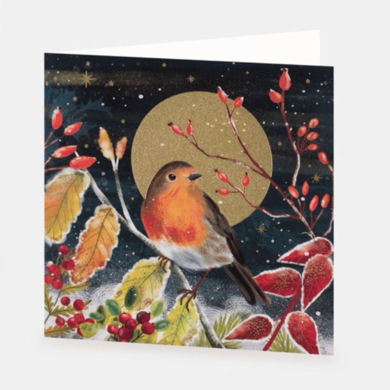 National Trust Winter Robin Christmas Cards Box of 10
