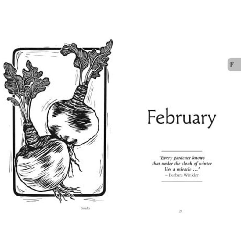 Open page from The National Trust Gardener’s Almanac 2027 showing a black-and-white botanical illustration of turnips with leafy tops beside a February chapter heading and a gardening quotation on a clean white background.