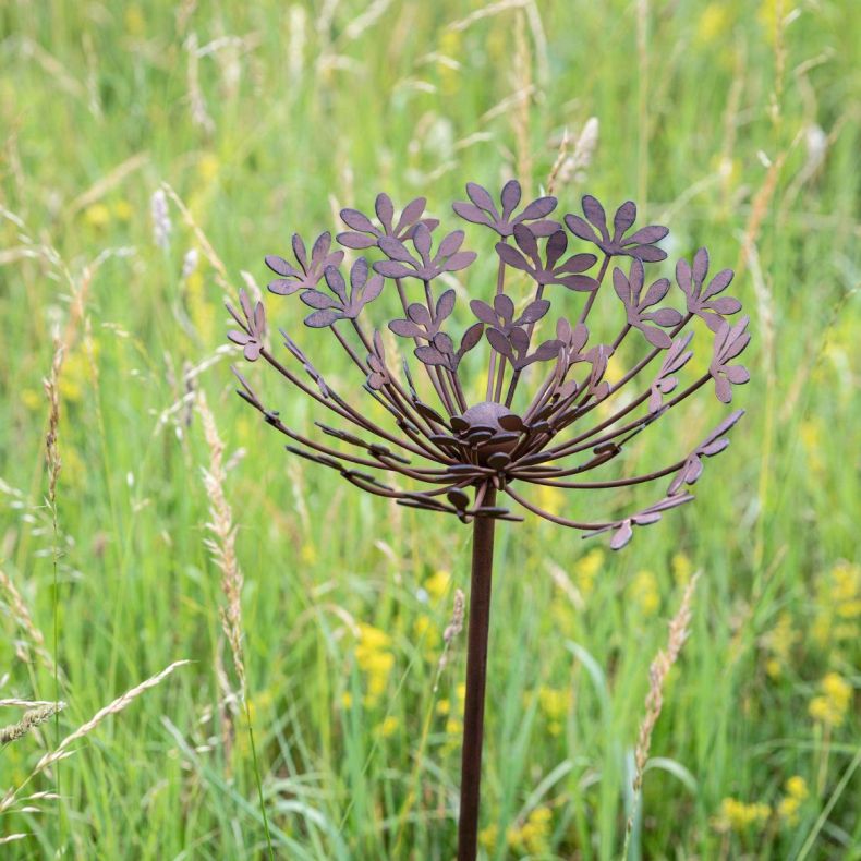 Cow Parsley plant stake in the garden 