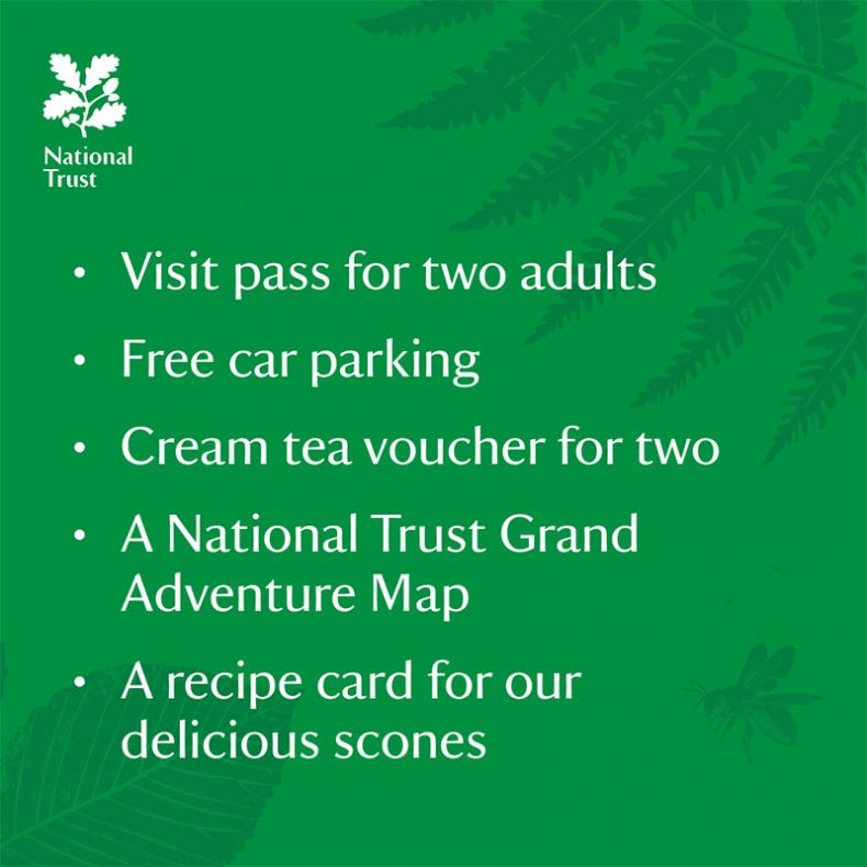 Unboxed Gift Experience,  Joint