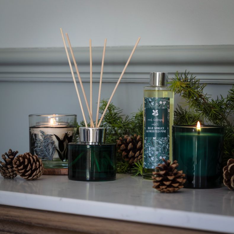 National Trust Reed Diffuser, Blue Spruce and Frosted Pine