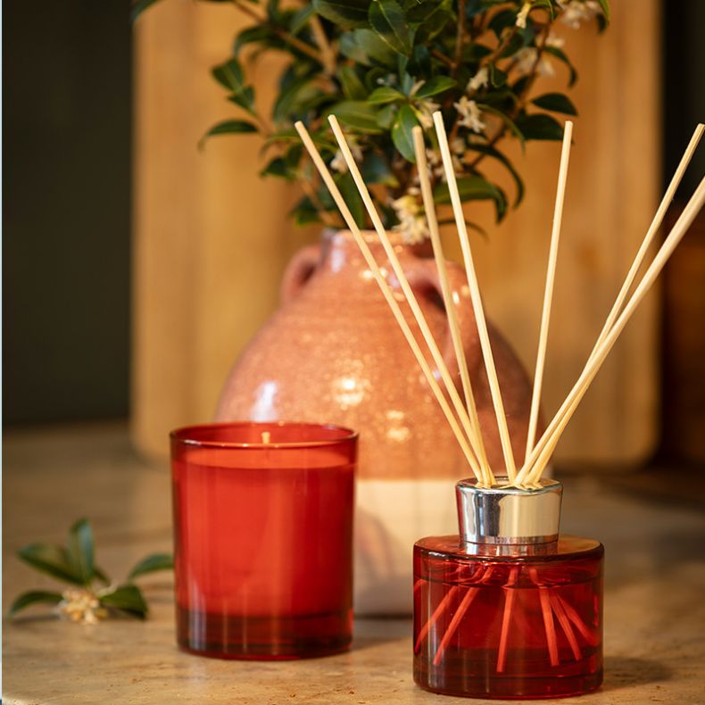 National Trust Reed Diffuser, Orange and Cedarwood