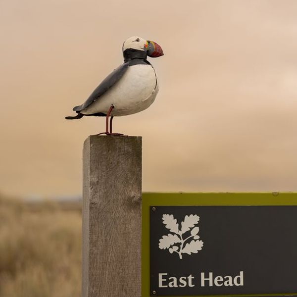 Recycled Puffin Sculpture