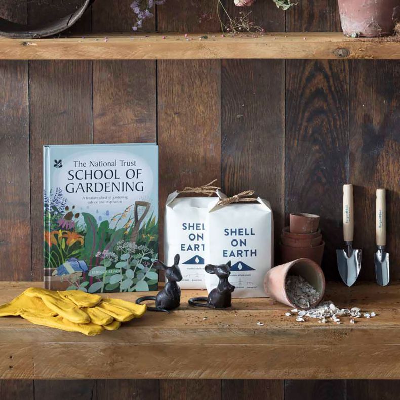 Shell on Earth Crushed Whelk Shells