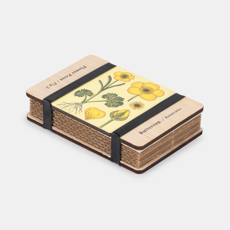 Angled view of the Pocket Flower Press Vintage Buttercup, featuring smooth wooden panels decorated with a vintage botanical illustration of a yellow buttercup (Ranunculus). The compact design reveals layered corrugated card inserts for pressing flowers an