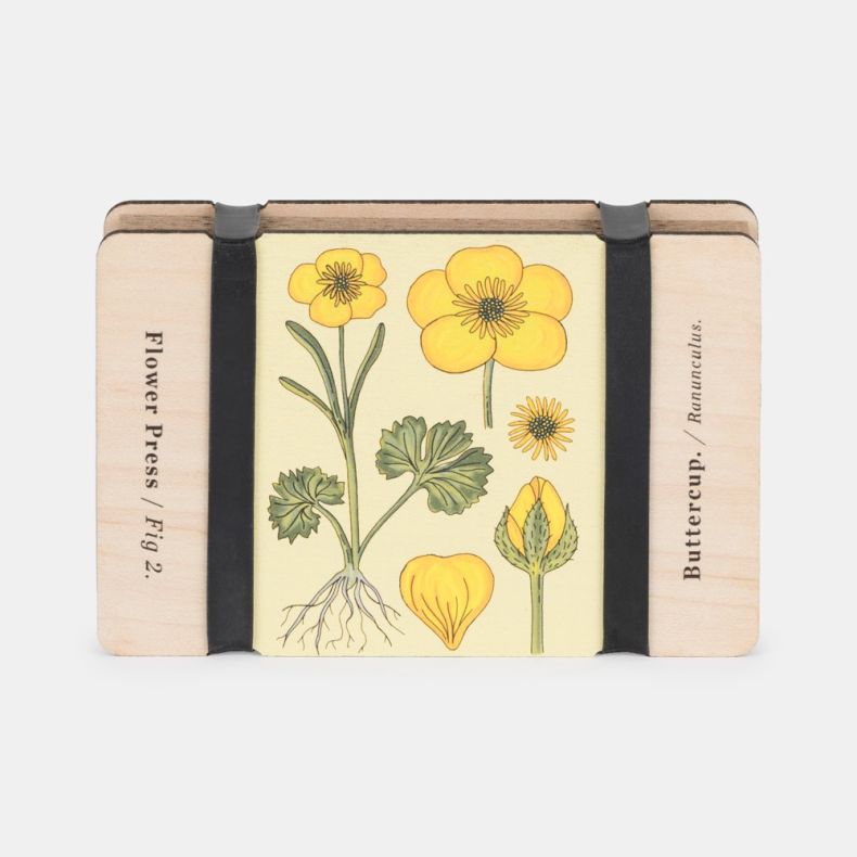 Pocket Flower Press Vintage Buttercup featuring a charming botanical illustration of a yellow buttercup (Ranunculus) with detailed plant anatomy. Crafted from smooth wooden panels and secured with black elastic bands, this compact flower press is ideal fo