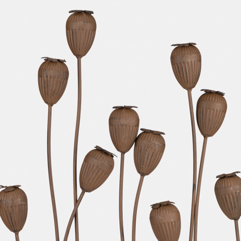 Ascalon Poppy Head Wall Art