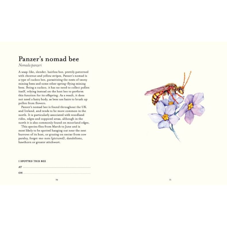 The Bee Spotter's Guide