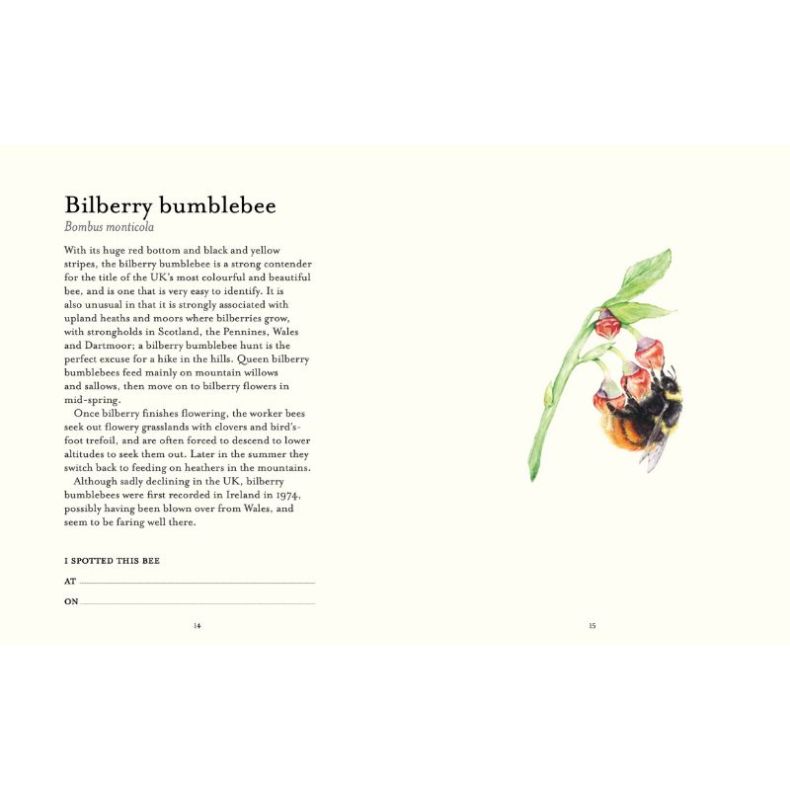 The Bee Spotter's Guide