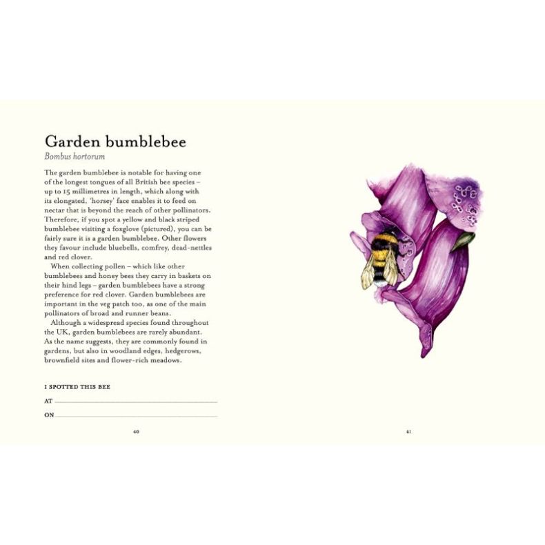 The Bee Spotter's Guide