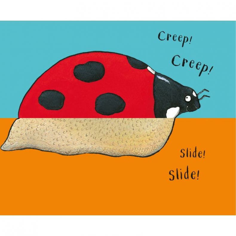 Axel Scheffler's Flip Flap Minibeasts