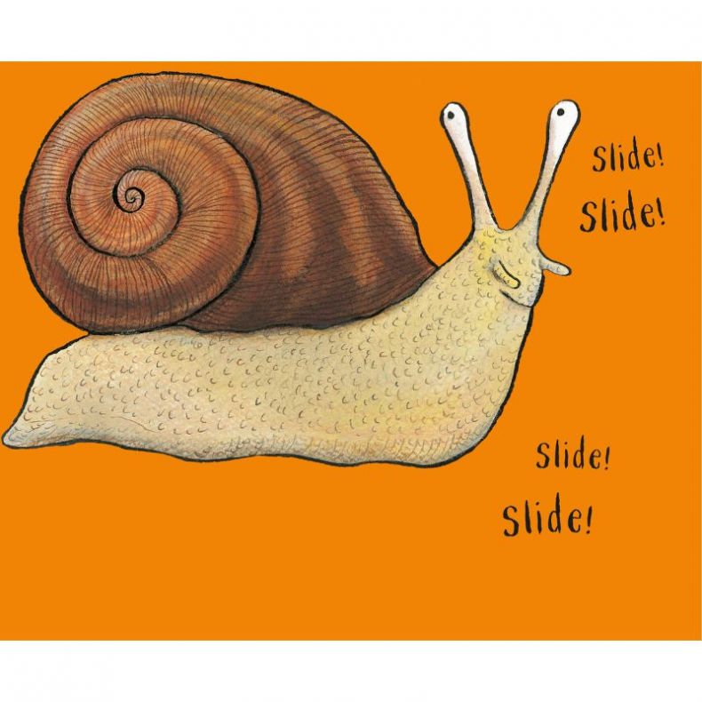 Axel Scheffler's Flip Flap Minibeasts