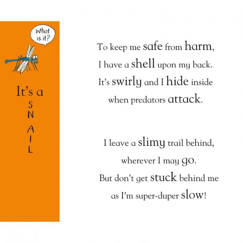 Axel Scheffler's Flip Flap Minibeasts