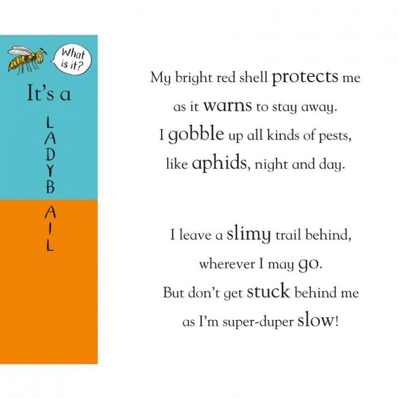 Axel Scheffler's Flip Flap Minibeasts