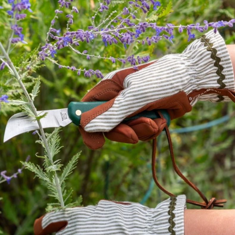 Burgon and Ball Olive Stripe Gloves