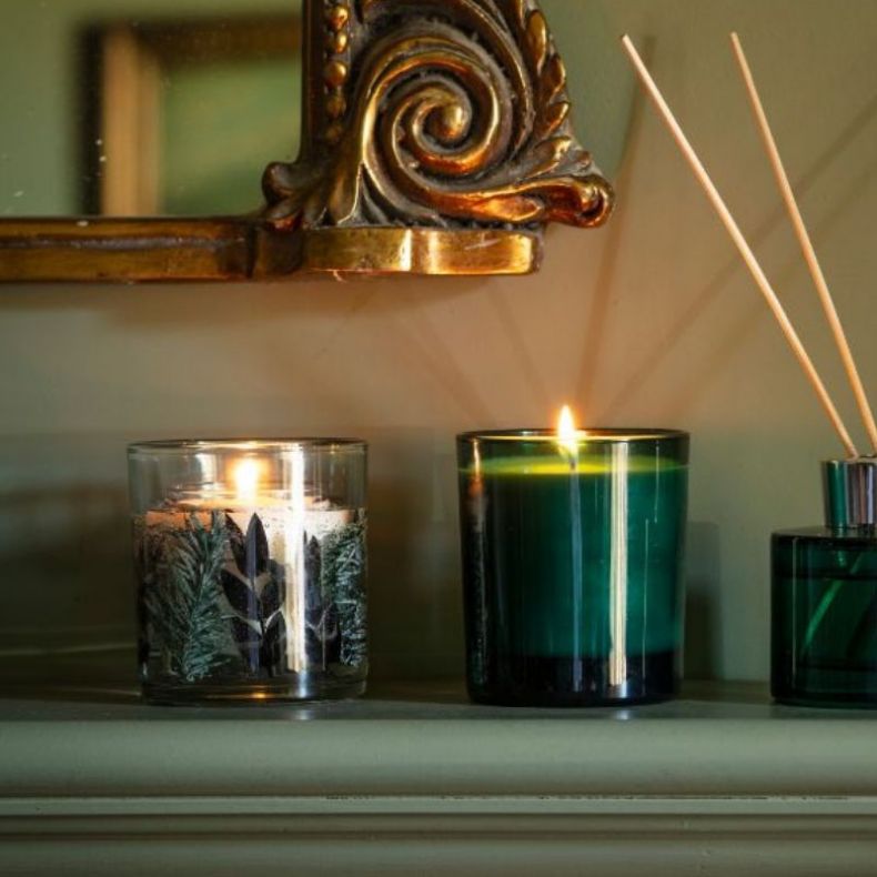 National Trust Gel Candle Blue Spruce and Frosted Pine