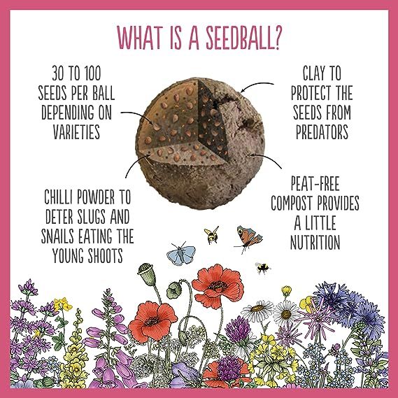 Seedball Bee Mix Grab Bag