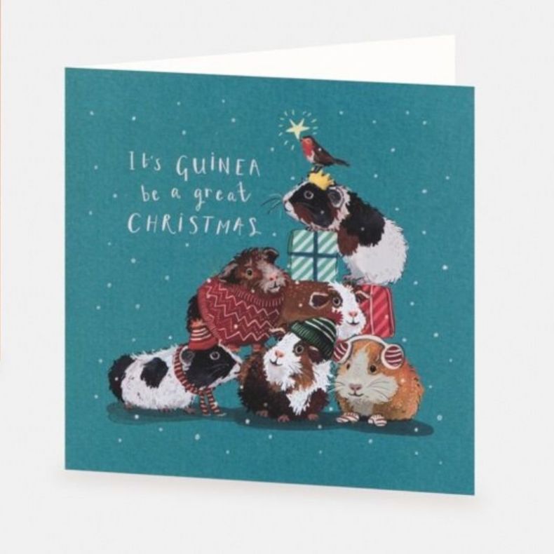 National Trust Festive Guinea Pigs Christmas Cards Box of 10