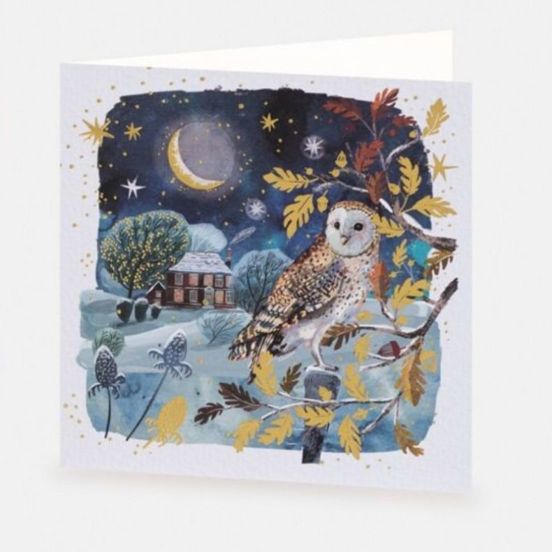 National Trust Moonlit Owl Christmas Card Box of 10