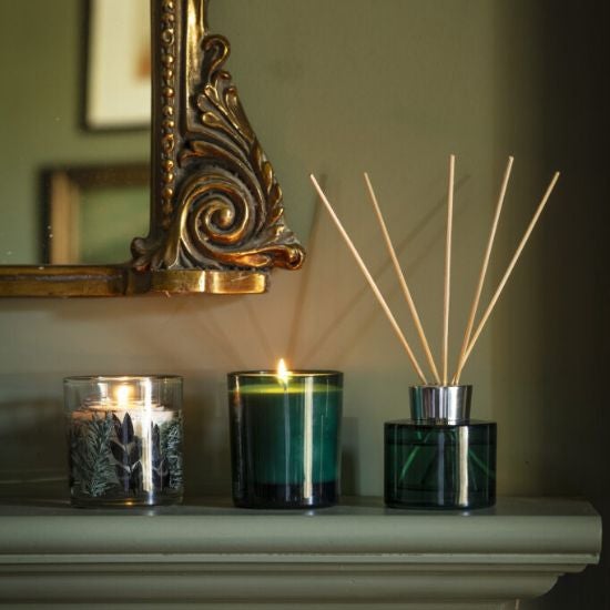 National Trust blue spruce reed diffuser