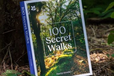 National Trust books